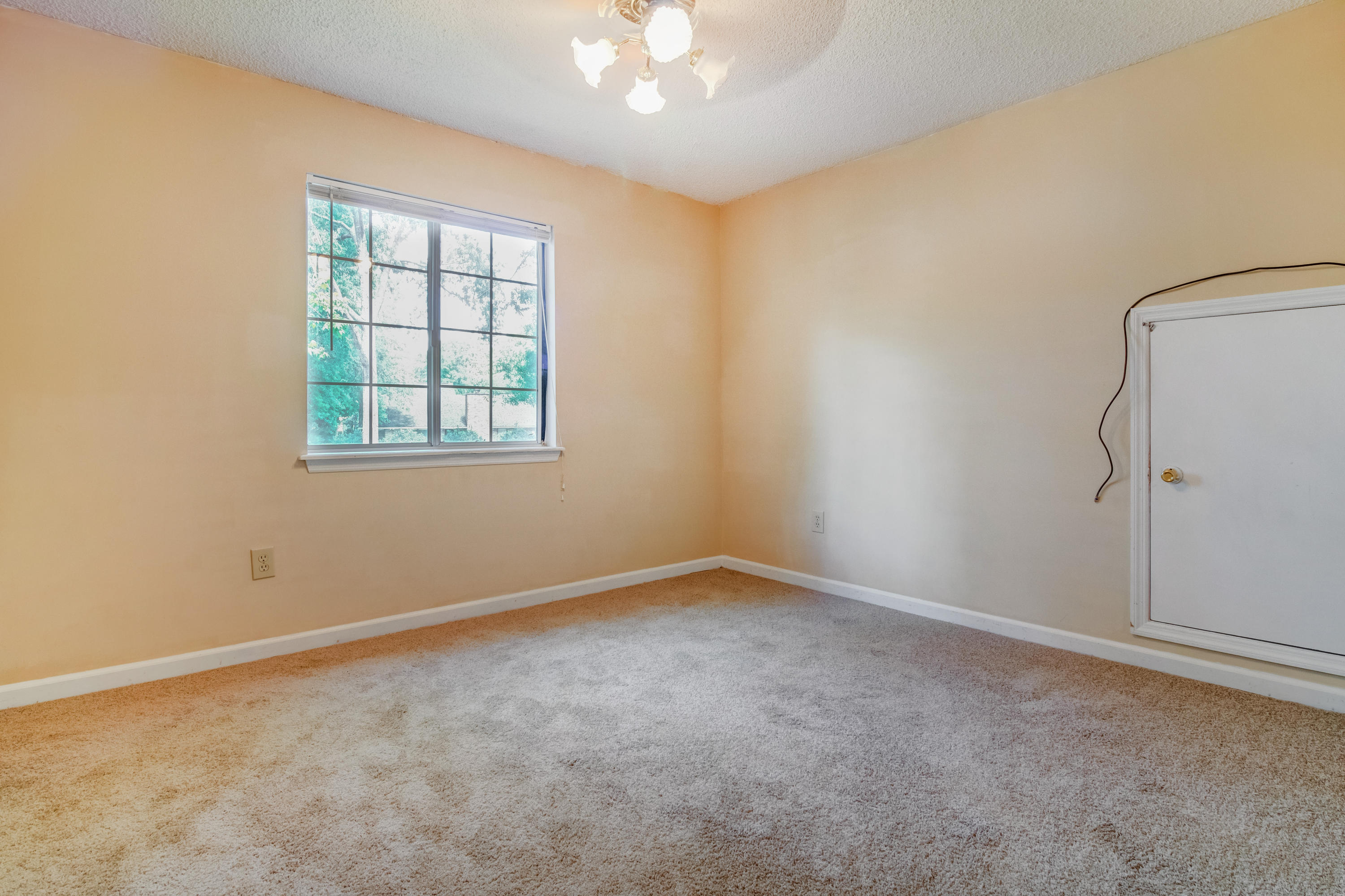 109 Forest Ridge Court Goose Creek, SC 29445 - Photo 18 of 28 untitled (106 of 72)_7 of 72)_8 of 72)