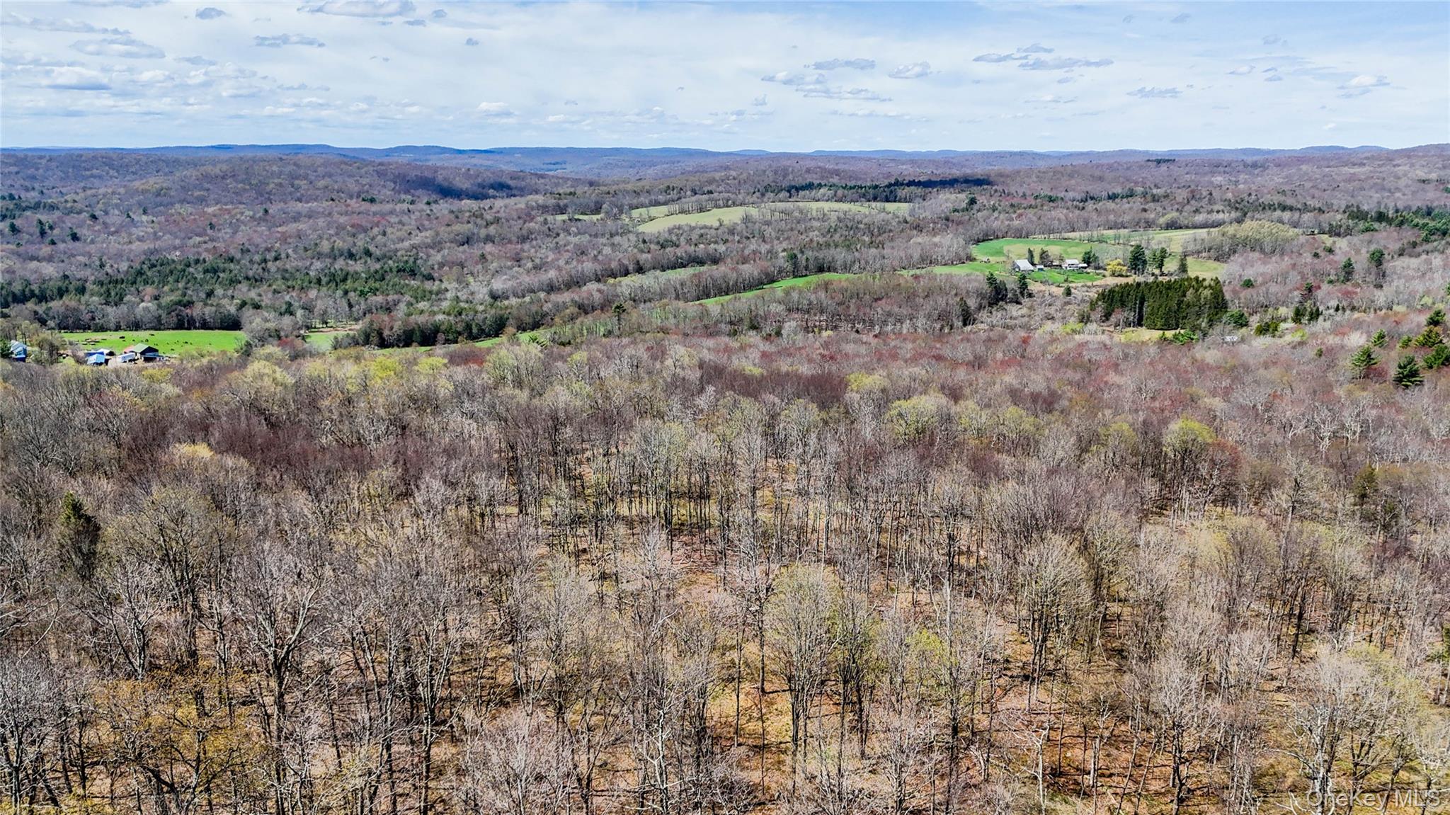 624 County Road Fremont Center, NY 12736 - Photo 3 of 33