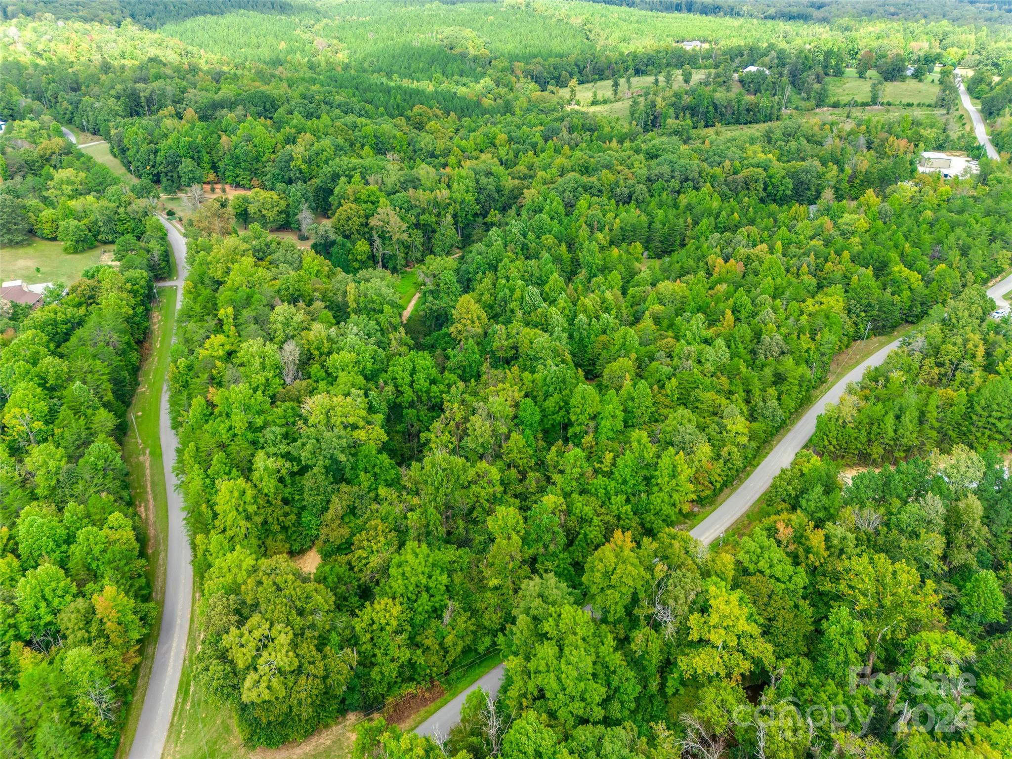 427 Burns Road Clover, SC 29710 - Photo 1 of 12 a view of a lush green forest
