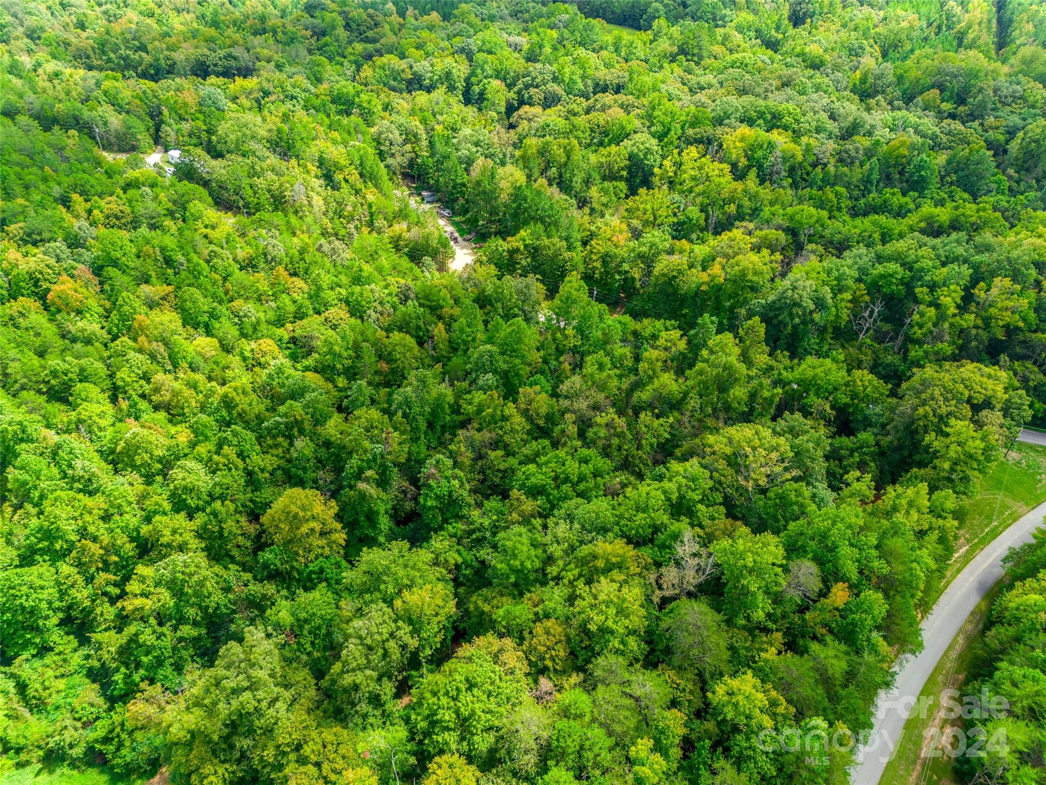 427 Burns Road Clover, SC 29710 - Photo 3 of 12 a view of a lush green forest