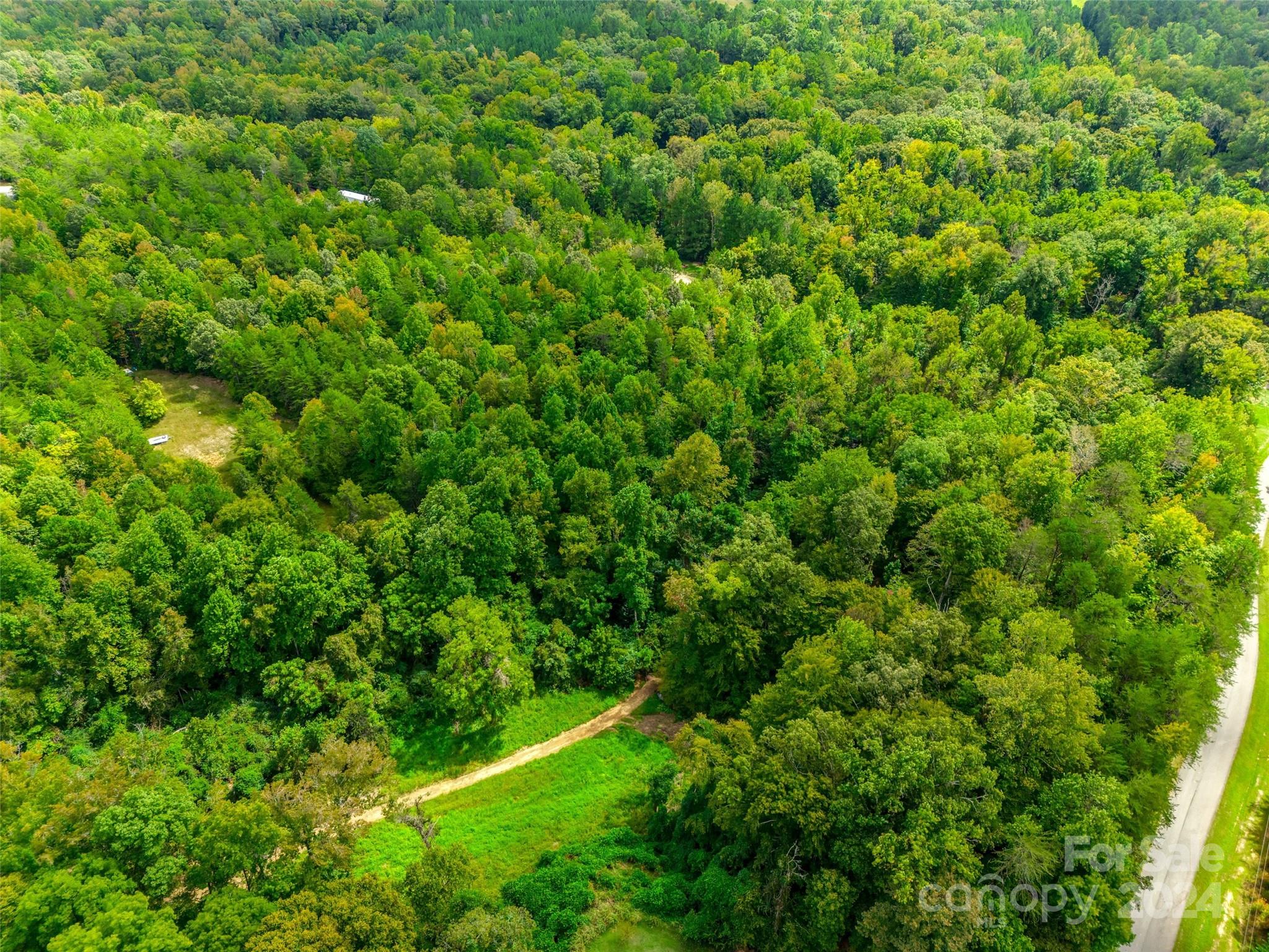 427 Burns Road Clover, SC 29710 - Photo 7 of 12 a view of a lush green space