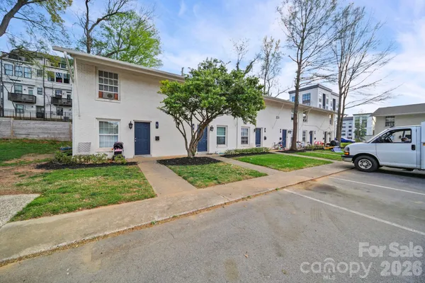 a view of a white house with a small yard plants and a large tree