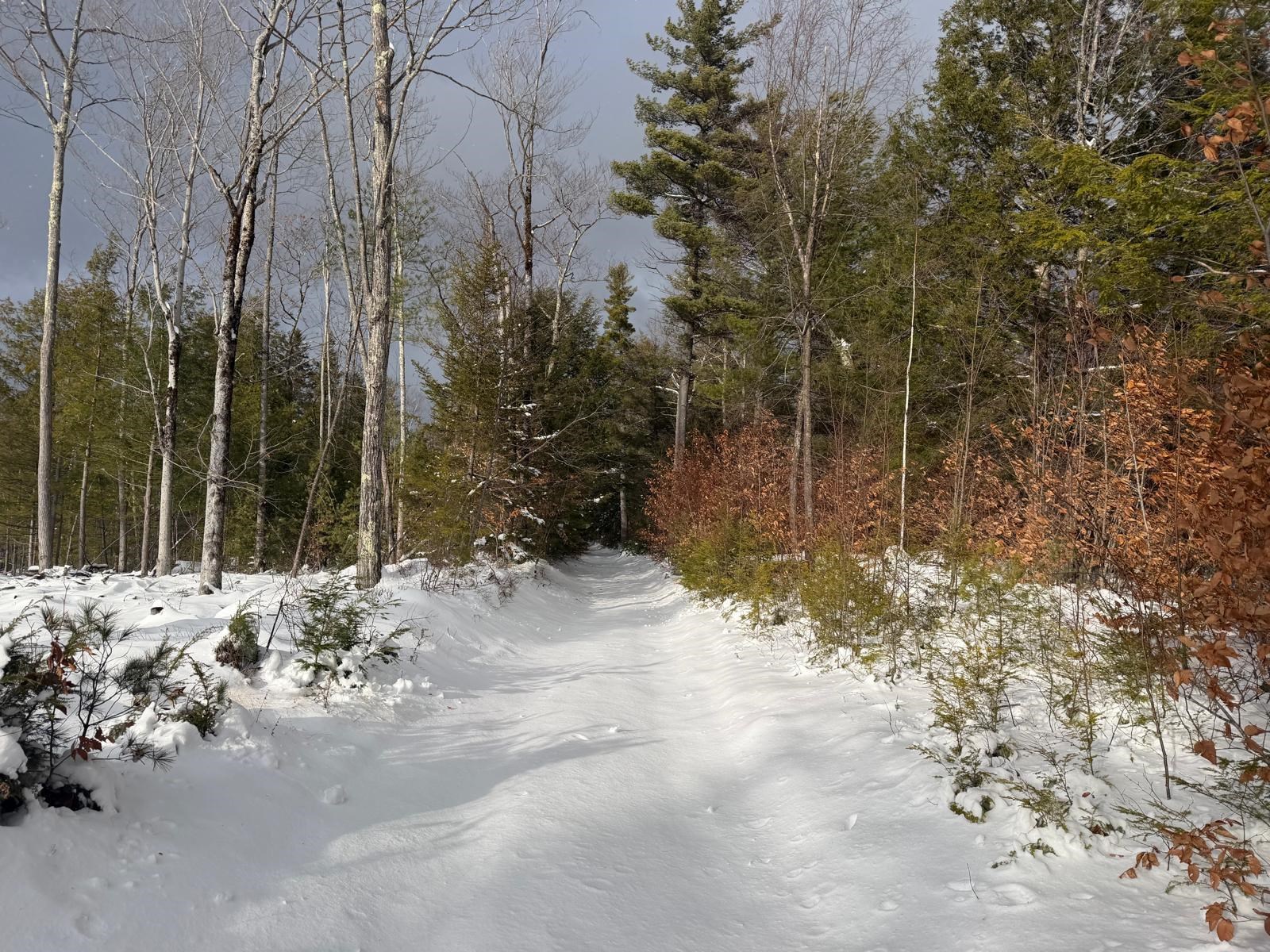 0 Dwinell Road Troy, NH 03465 - Photo 1 of 4