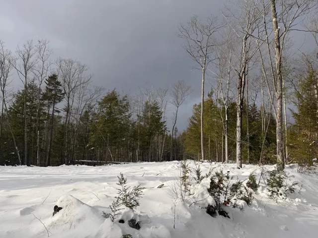 $79,500 | 0 Dwinell Road, Troy, NH 03465