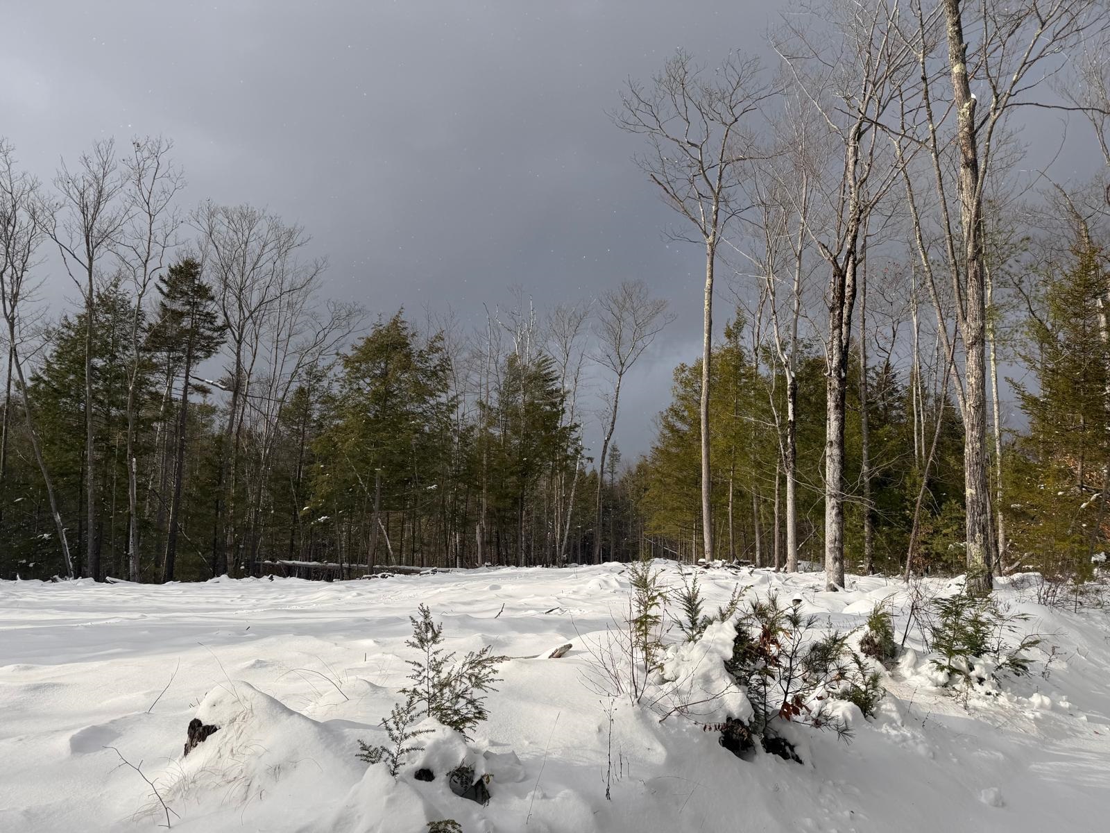 0 Dwinell Road Troy, NH 03465 - Photo 2 of 4