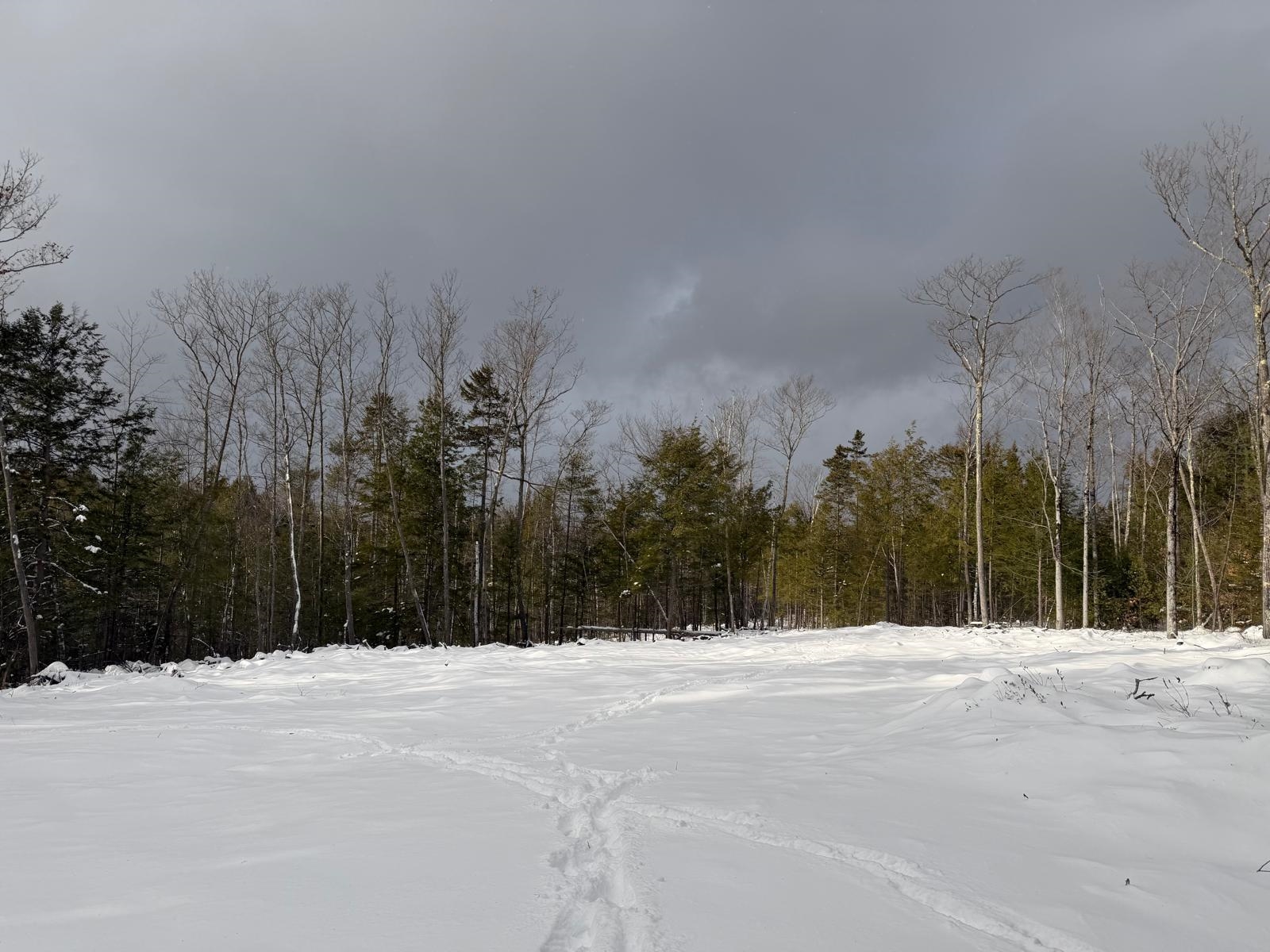 0 Dwinell Road Troy, NH 03465 - Photo 3 of 4