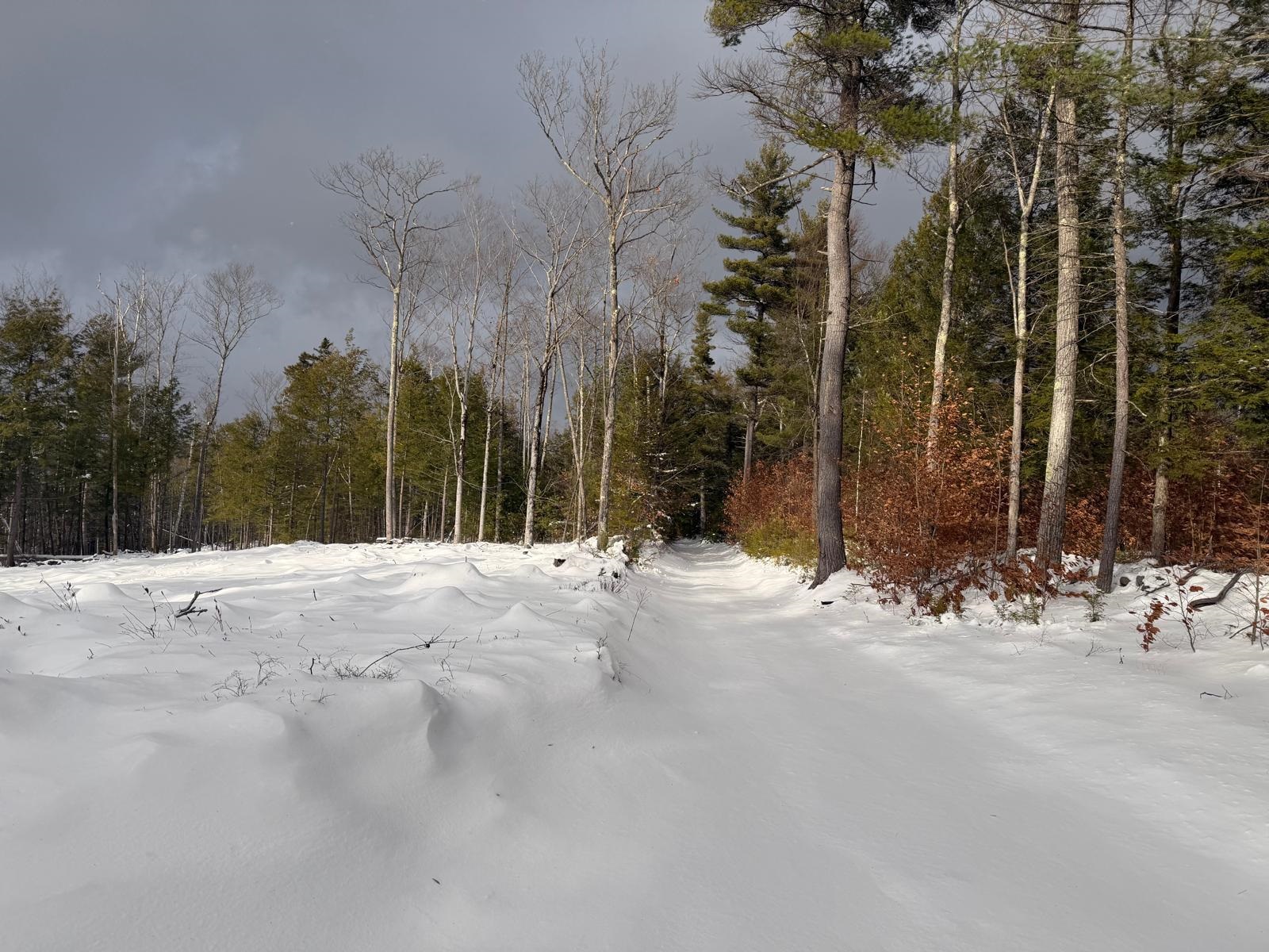 0 Dwinell Road Troy, NH 03465 - Photo 4 of 4