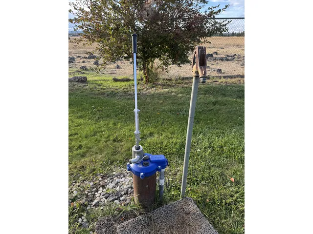 a view of a porch with chairs and potted plants