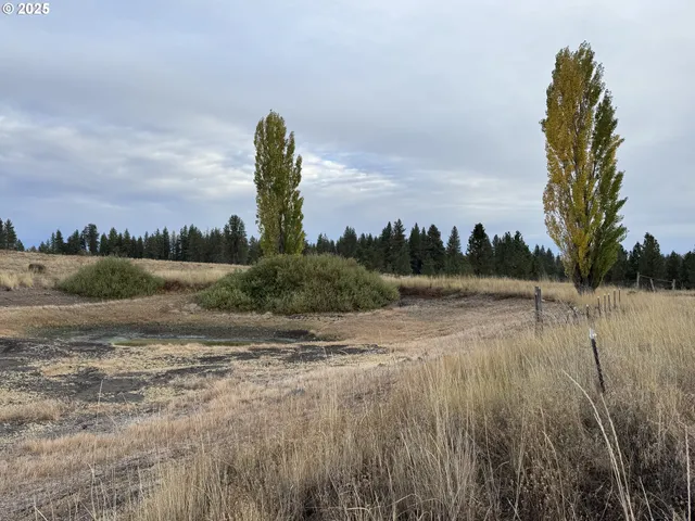 a view of outdoor space with city view