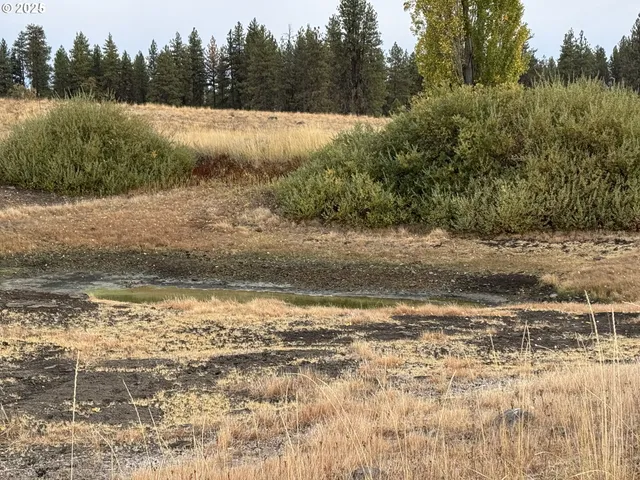 a view of a lake with beach and trees