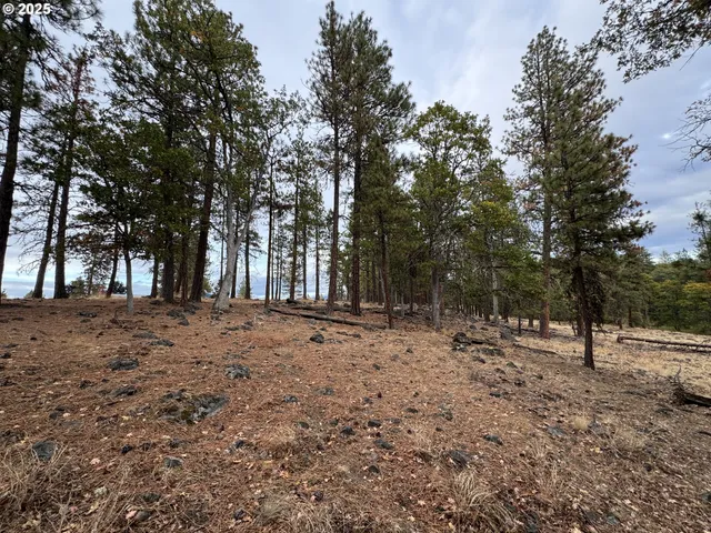 a view of outdoor space with tree s