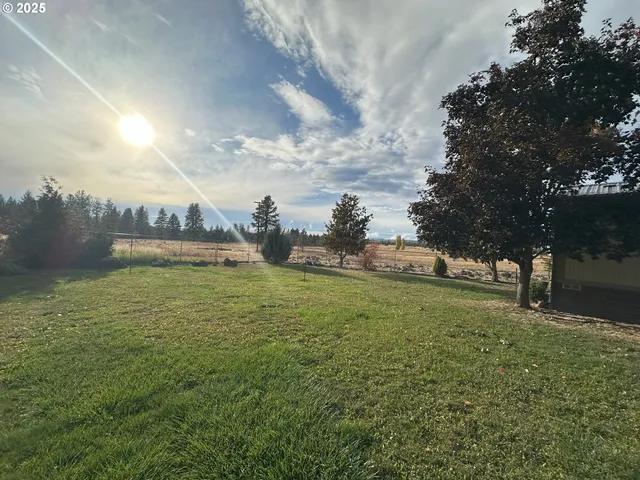 a view of outdoor space and yard
