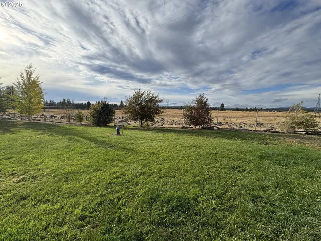 a view of a field with an trees