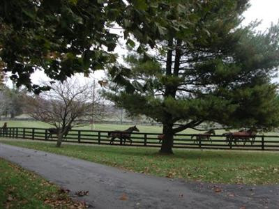 1276 Winchester Road Paris, KY 40361 - Photo 8 of 9 Photo 8