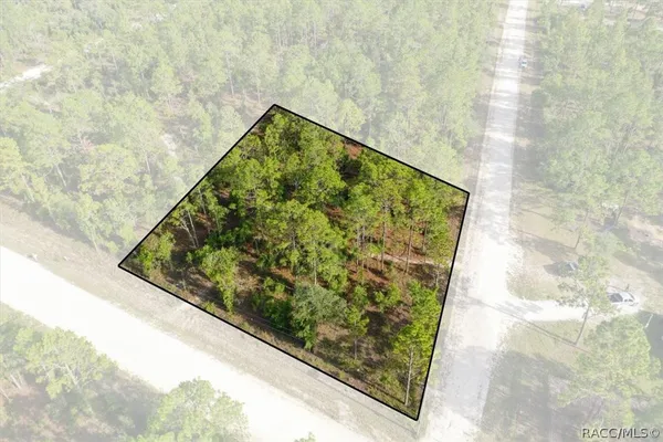 $44,000 | 0 Northeast 131st Terrace, Williston, FL 32696
