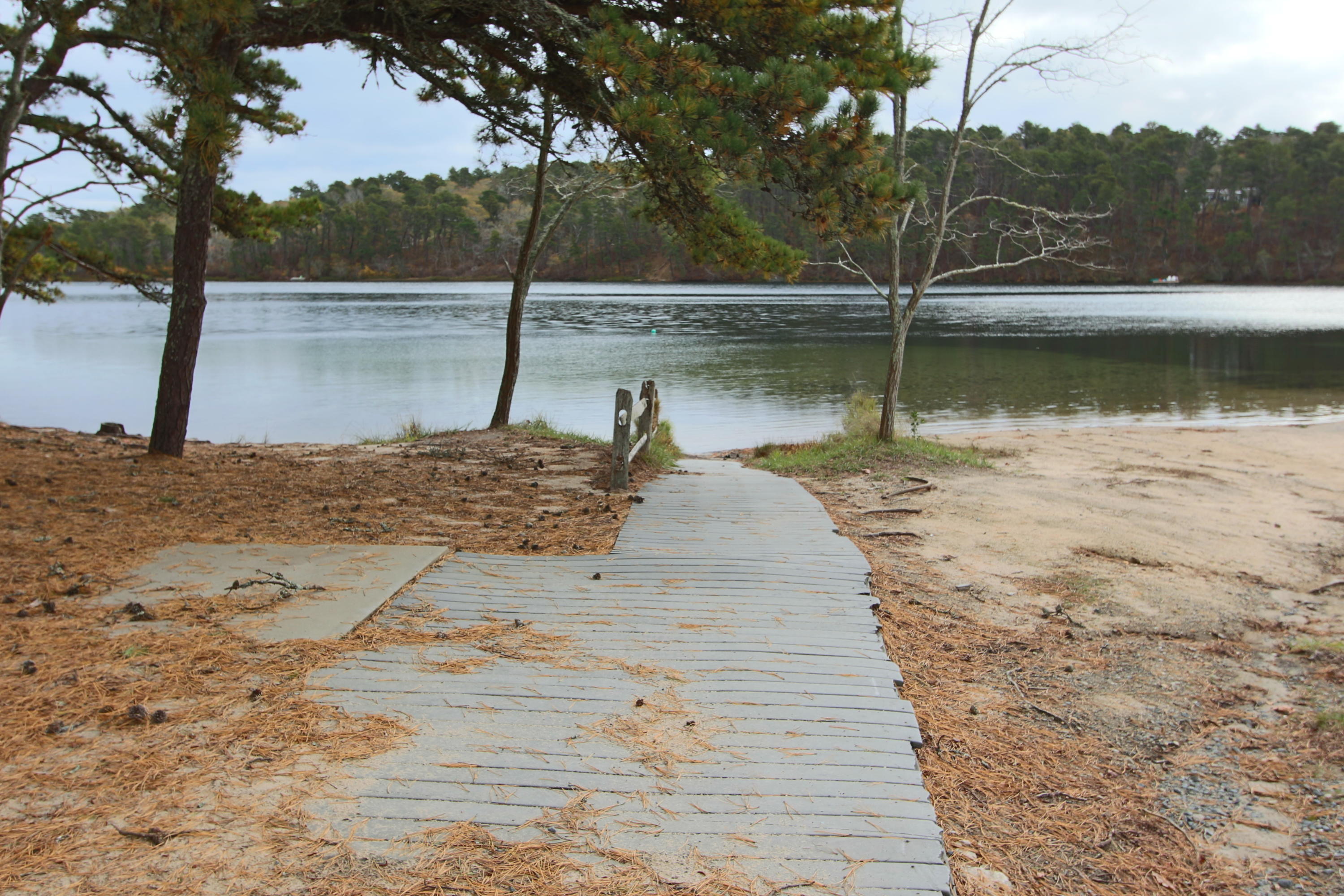 285 Long Pond Road Wellfleet, MA 02667 - Photo 23 of 28 a view of a swimming pool with a yard