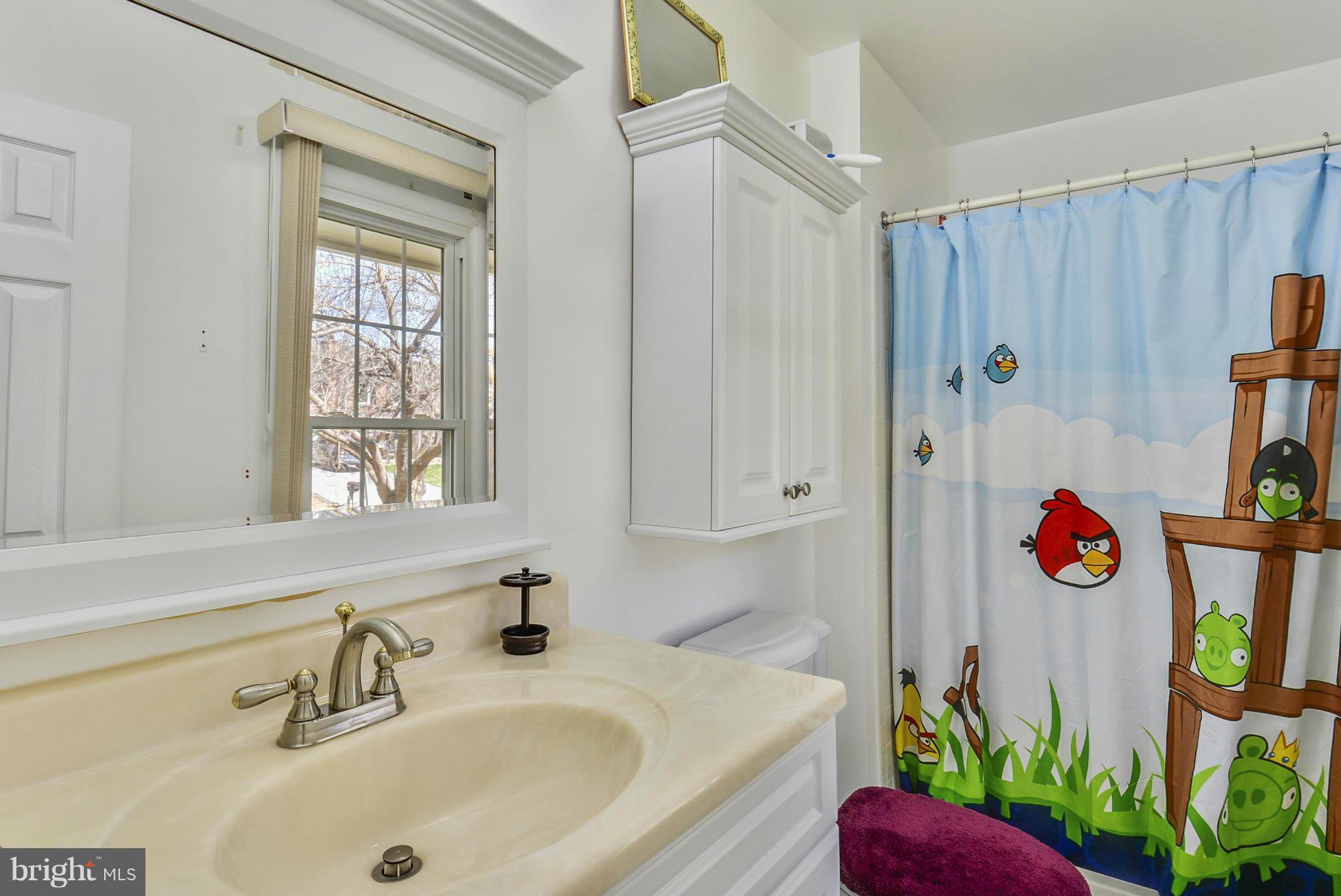 617 Windmill Lane Silver Spring, MD 20905 - Photo 12 of 20 a bathroom with a sink and a tub