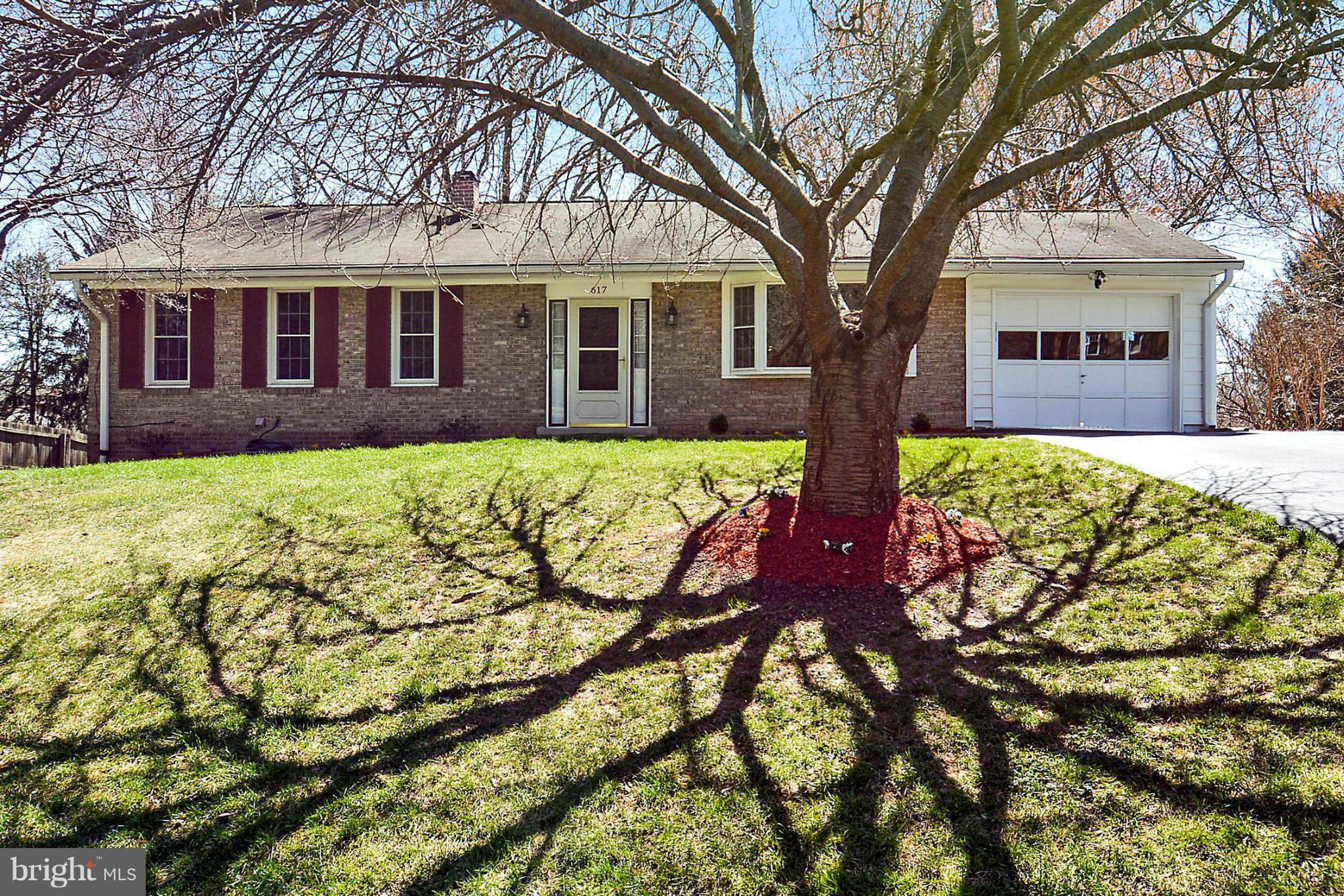 617 Windmill Lane Silver Spring, MD 20905 - Photo 19 of 20 a view of a house with yard next to a tree