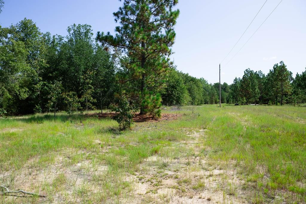 1161 Cumbee Trail Road Aiken, SC 29805 - Photo 32 of 33