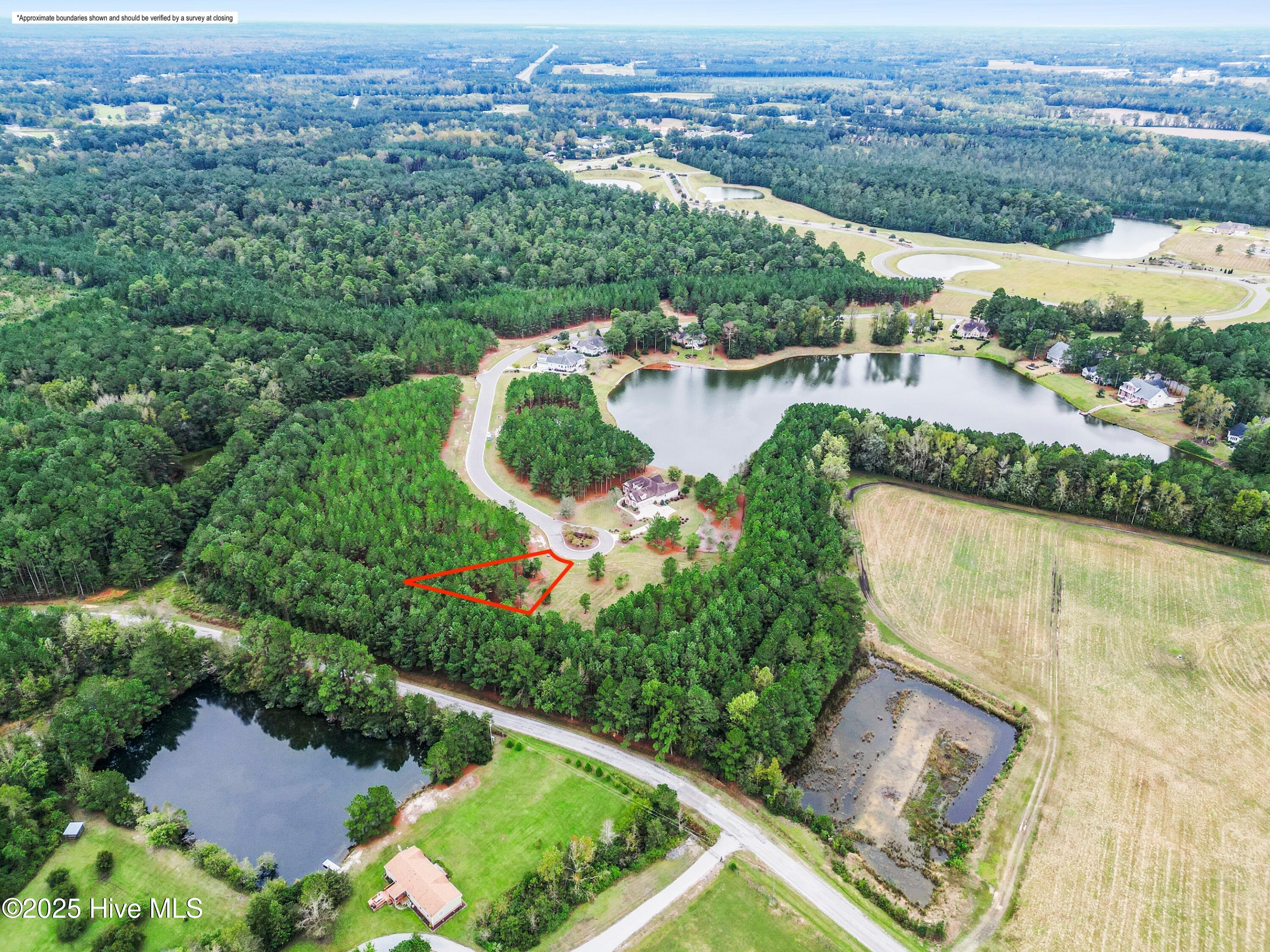328 Cellars Way Wallace, NC 28466 - Photo 9 of 26 Drone Aerial
