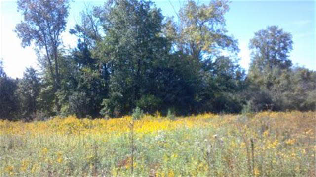 457 West Dean Road Temperance, MI 48182 - Photo 2 of 20 20390006-1.JPG