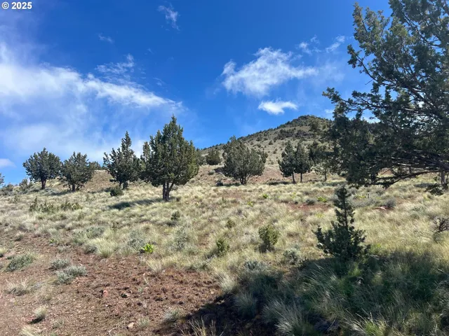 $395,000 | Southwest Wanker Lane, Culver, OR 97734