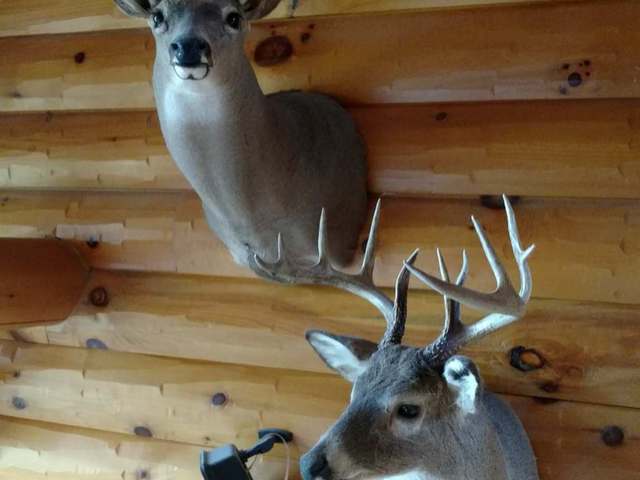 Off Off Lakewood Road Hazelhurst, WI 54531 - Photo 17 of 17 Gallery Image 17