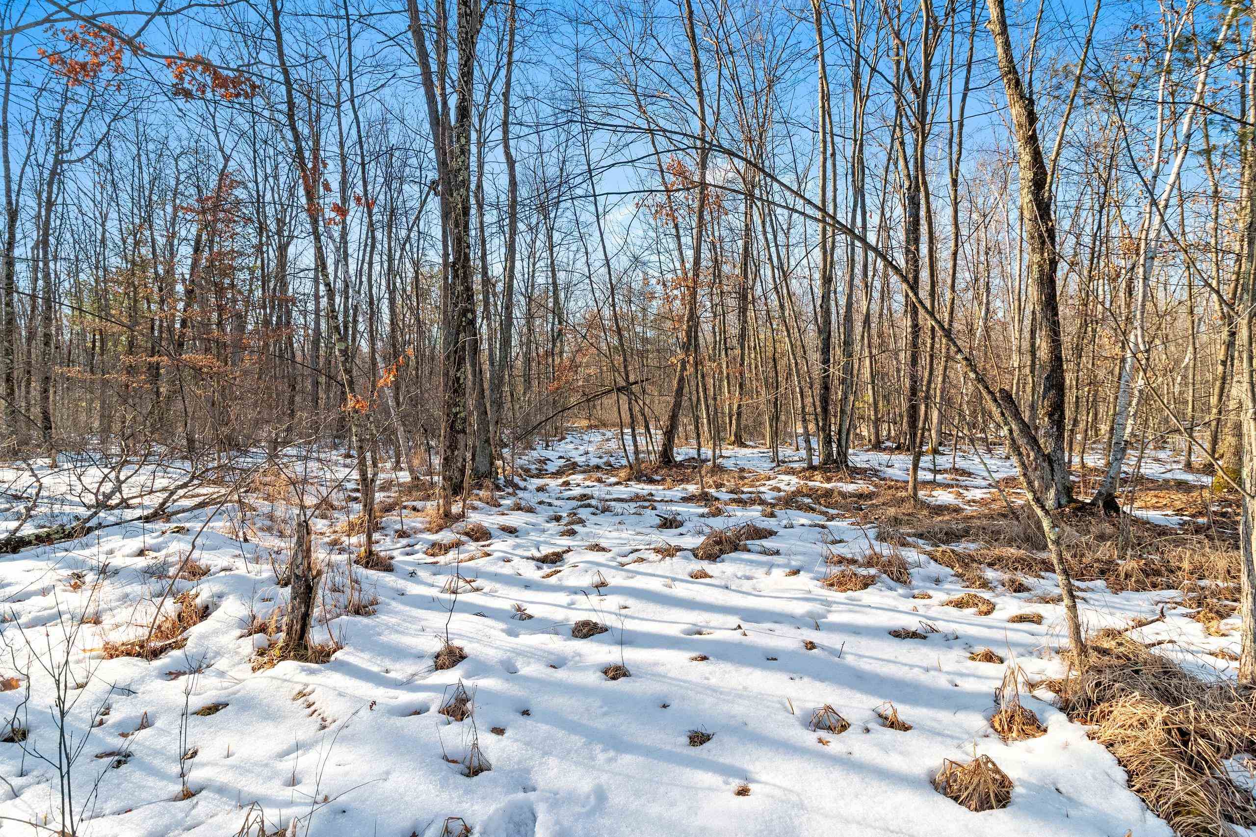 Kutz Road Peshtigo, WI 54157 - Photo 11 of 13
