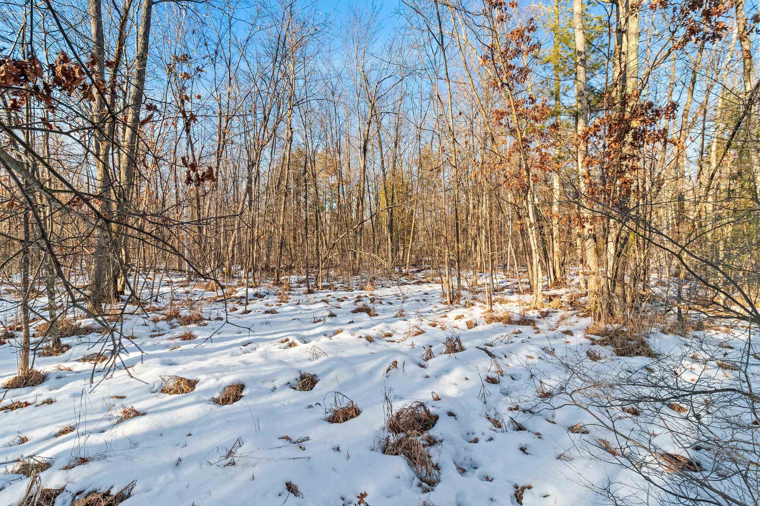 Kutz Road Peshtigo, WI 54157 - Photo 12 of 13