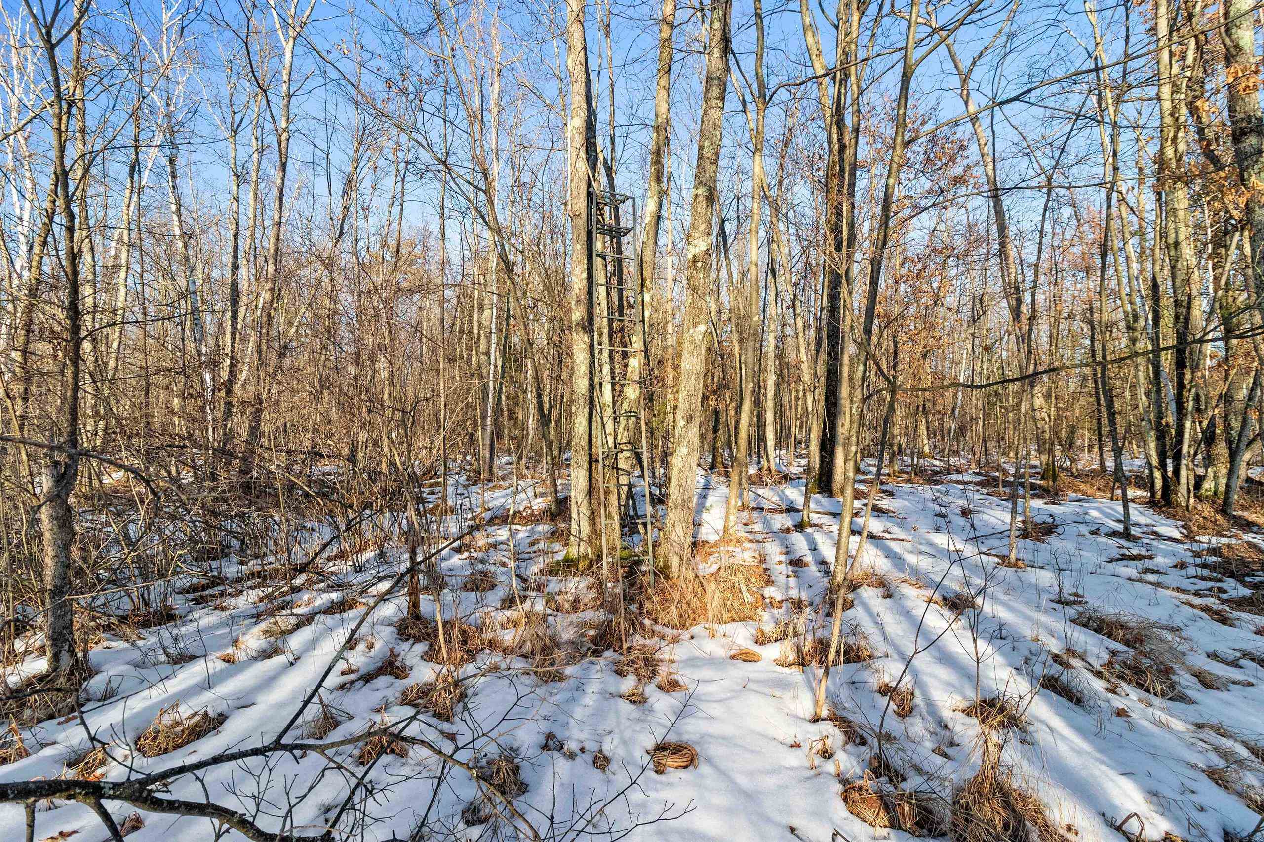 Kutz Road Peshtigo, WI 54157 - Photo 2 of 13