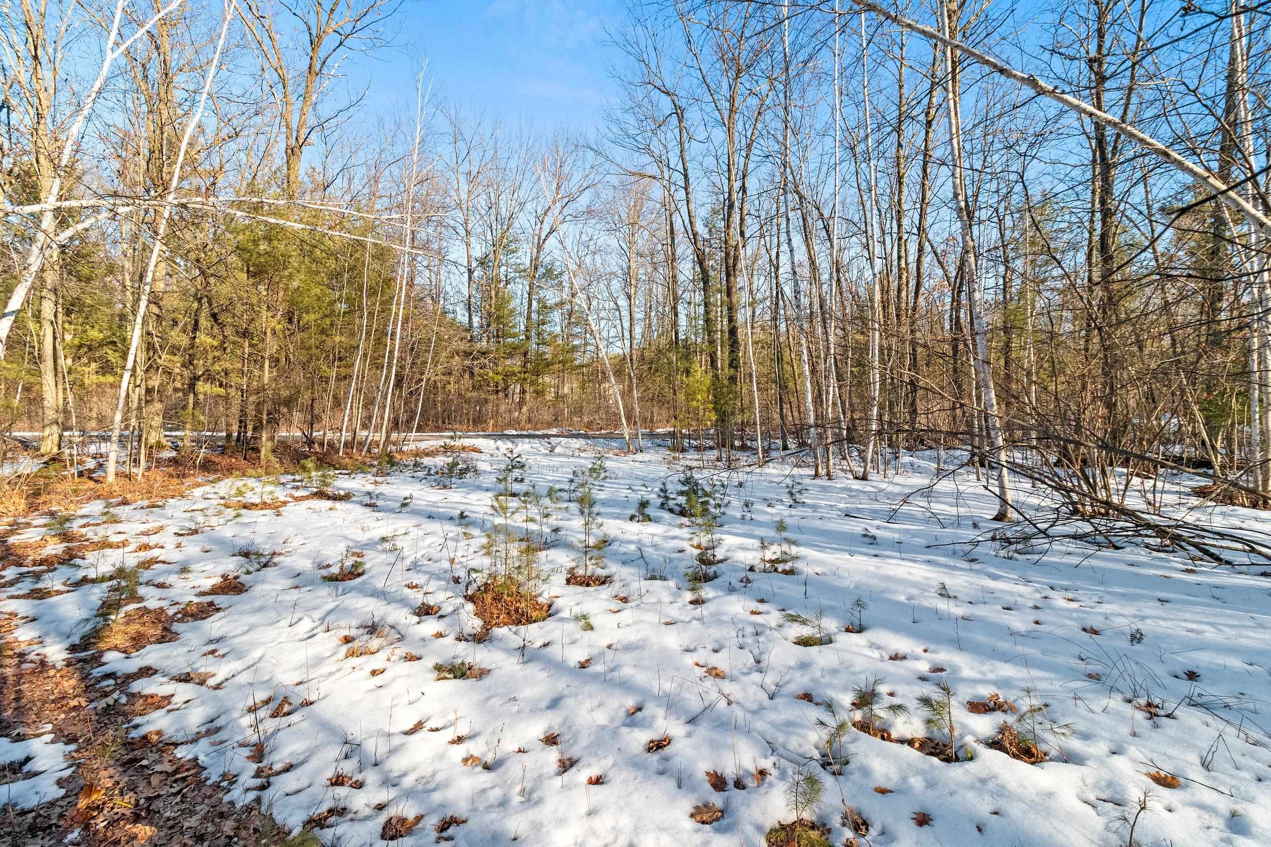 Kutz Road Peshtigo, WI 54157 - Photo 4 of 13
