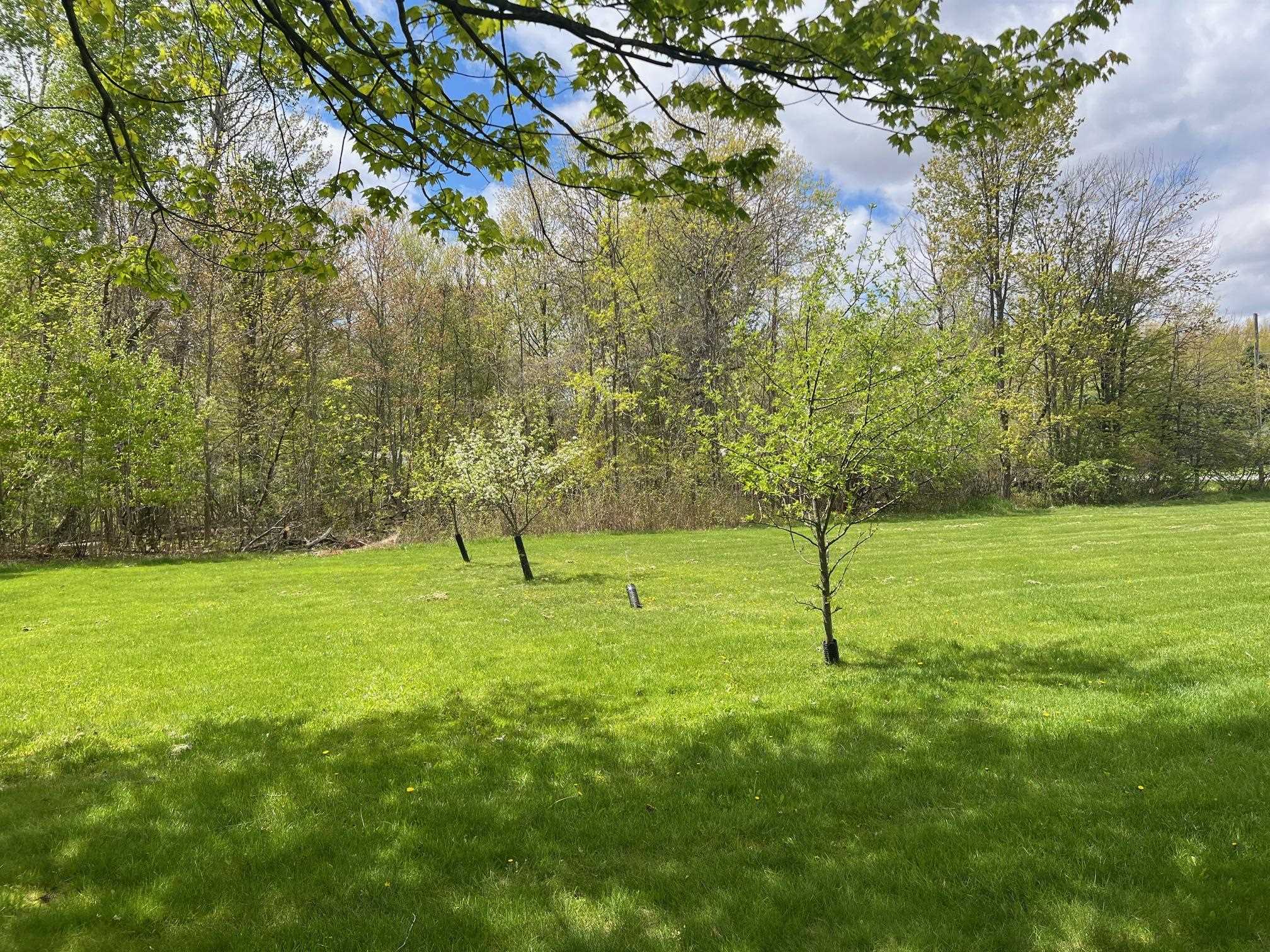 21403 Swan Creek Road Merrill, MI 48637 - Photo 66 of 68
