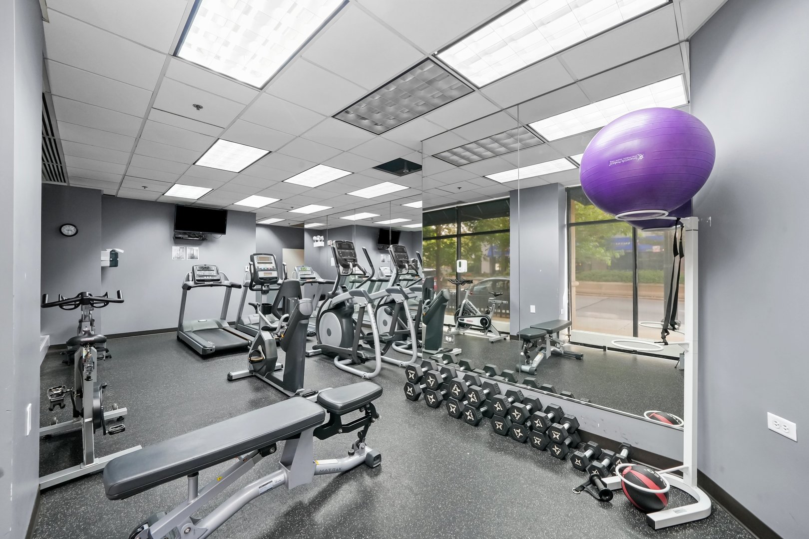 1529 South State Street, Unit 6 Chicago, IL 60605 - Photo 24 of 34 a room with gym equipment and large mirror