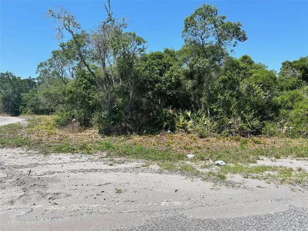 a view of a yard with a tree