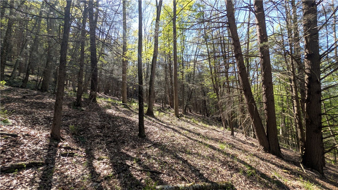 Lot 5 East River Road Andes, NY 13731 - Photo 20 of 39