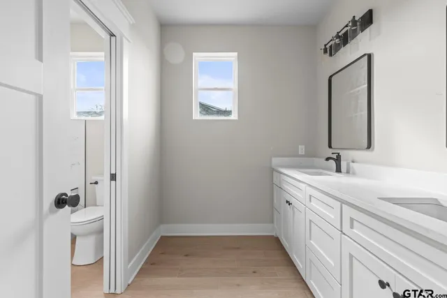 a bathroom with a granite countertop sink mirror and double