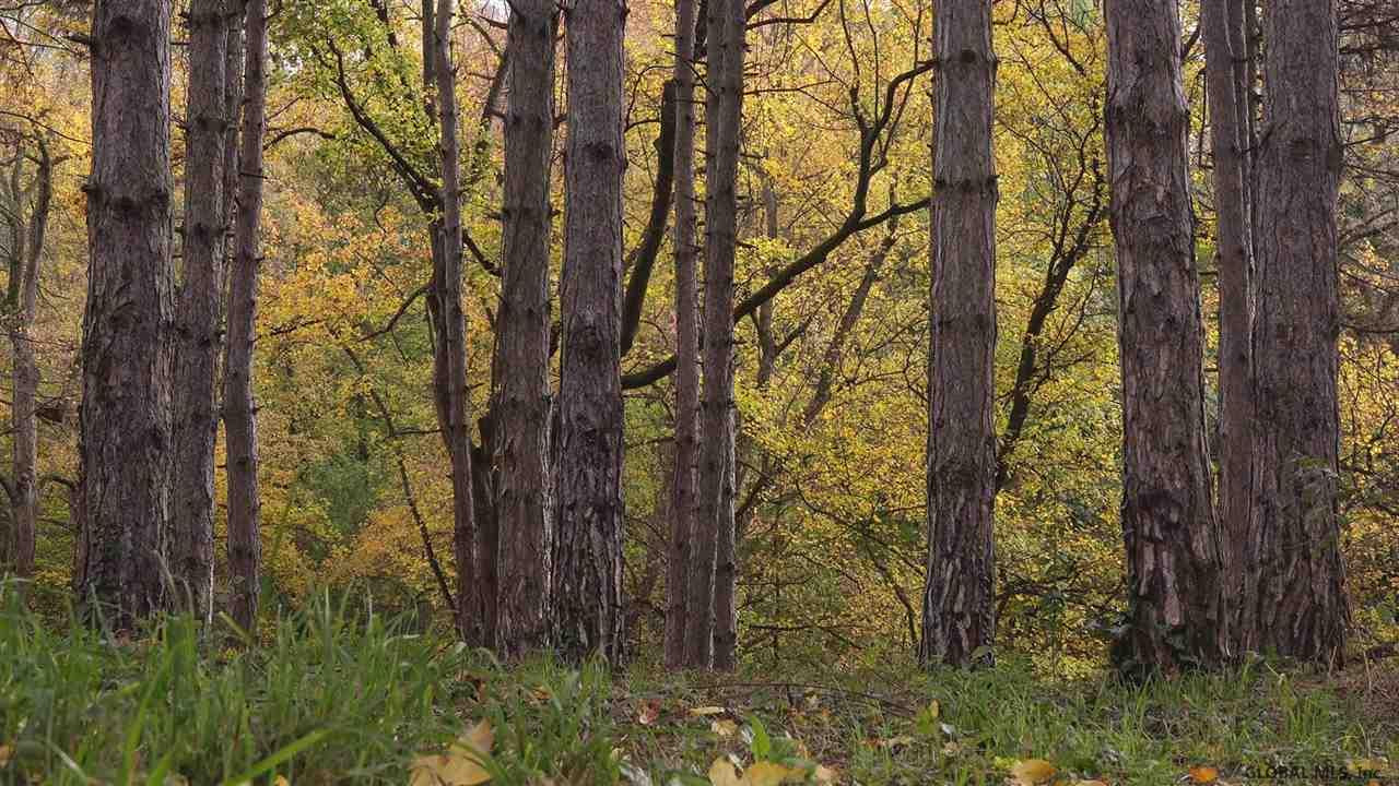 2 Smith Road Ohio, NY 13324 - Photo 1 of 1 Photo 1