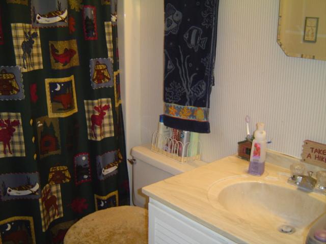 1517 Altice Mill Road Rocky Mount, VA 24151 - Photo 18 of 21 a bathroom with a toilet sink and mirror