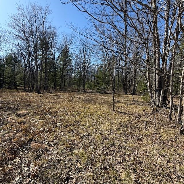 C Scharmen Road Traverse City, MI 49696 - Photo 6 of 11