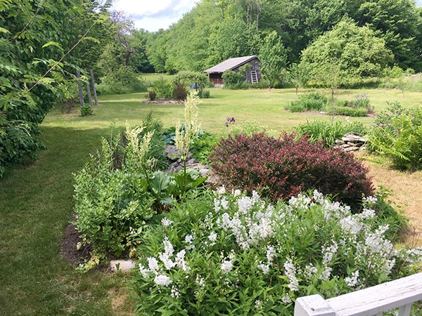 17 Leverett Road Shutesbury, MA 01072 - Photo 4 of 30 Gallery Image 4