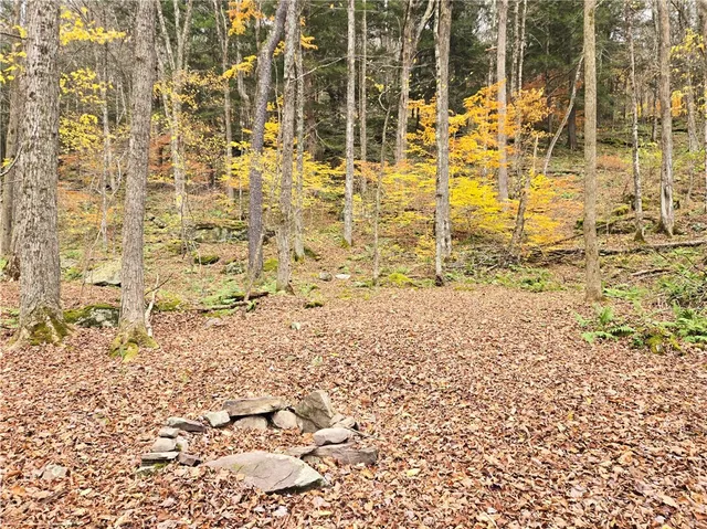 $24,990 | Lot 7 County Highway, Margaretville, NY 12455
