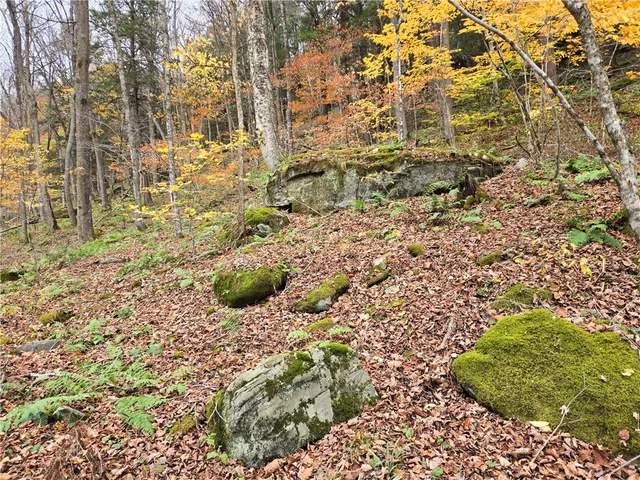 $24,990 | Lot 7 County Highway, Margaretville, NY 12455