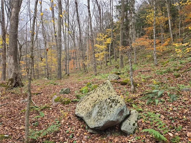 $24,990 | Lot 7 County Highway, Margaretville, NY 12455