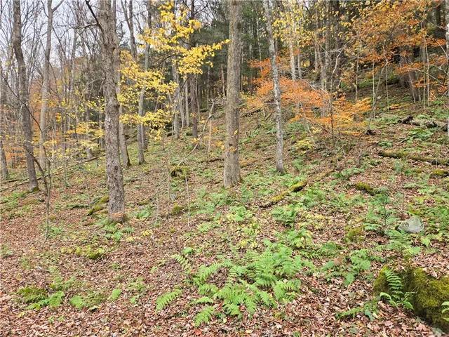 $24,990 | Lot 7 County Highway, Margaretville, NY 12455