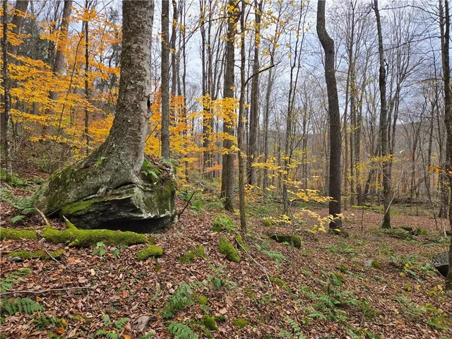 $24,990 | Lot 7 County Highway, Margaretville, NY 12455