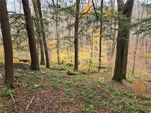 $24,990 | Lot 7 County Highway, Margaretville, NY 12455