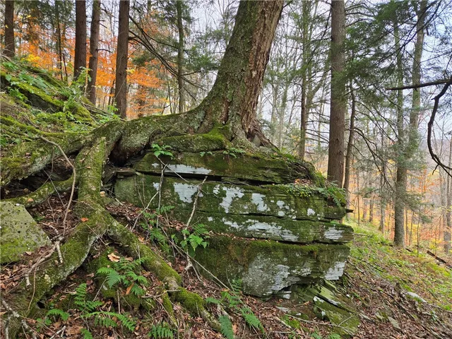 $24,990 | Lot 7 County Highway, Margaretville, NY 12455