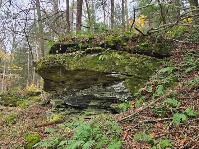 $24,990 | Lot 7 County Highway, Margaretville, NY 12455