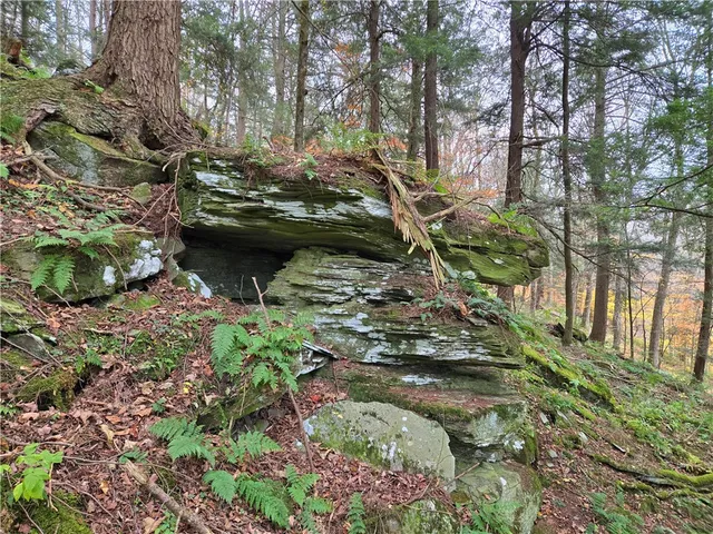 $24,990 | Lot 7 County Highway, Margaretville, NY 12455