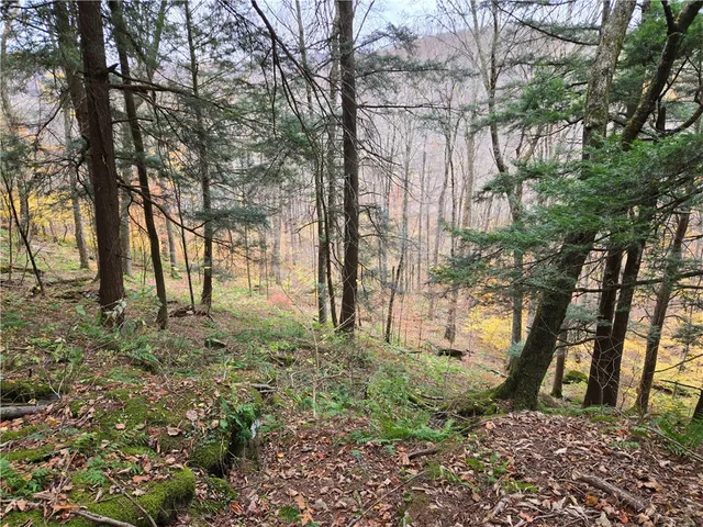 $24,990 | Lot 7 County Highway, Margaretville, NY 12455